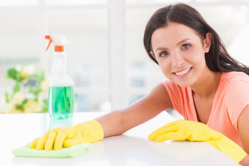 Professional move in cleaning in a Kentishtown flat interior