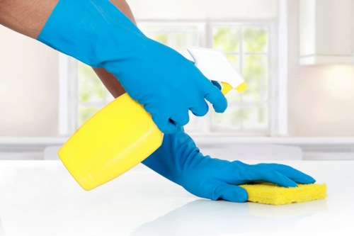 Kentishtown carpet cleaning professional refreshing a living room carpet