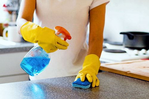 Regular cleaning service for homes and flats in Kentishtown