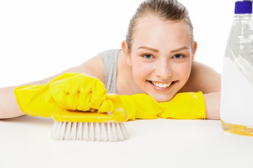 Screen-reader friendly carpet cleaning website content for Kentishtown