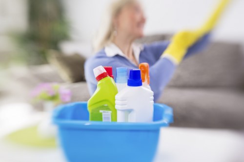 Deep cleaning equipment used for pet stain treatment in a flat