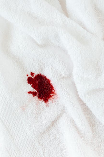 A close-up of a bloodstain on a white textured towel, with a bloodstained white cloth partially draped over the towel. The towel appears to be a soft, plush material, reflecting typical household or h